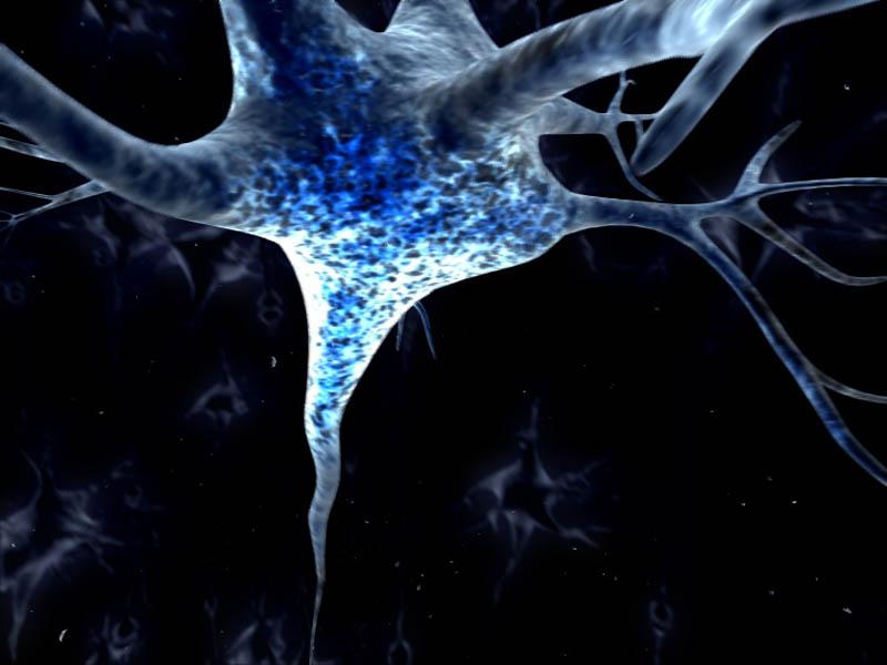 neurone3d.jpg - Vue en 3D d'un neurone