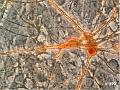 neurone3_x390