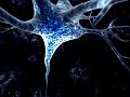 neurone3d