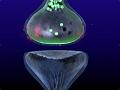 synapse4a