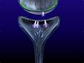 synapse4c