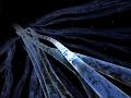 xfibres_nerveuses