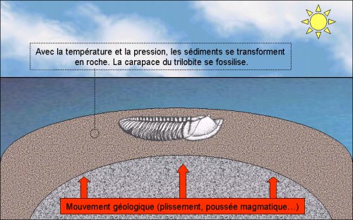Mouvement géologique ...